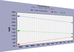Free Cholesterol Chart - Year View